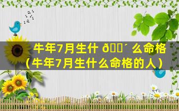 牛年7月生什 🐴 么命格（牛年7月生什么命格的人）